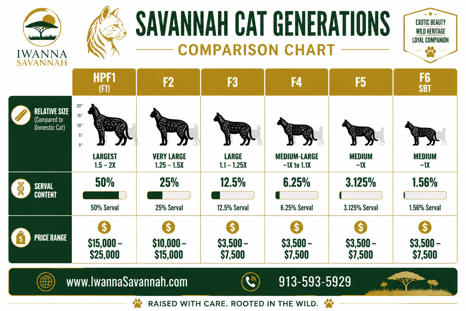 F1 savannah cats for sale