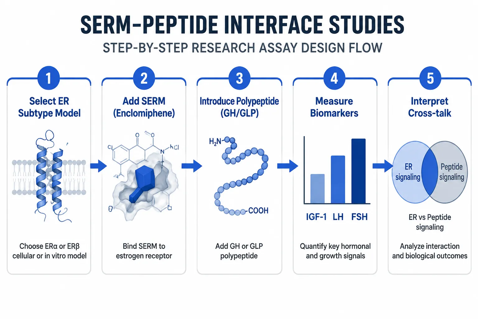 The serm, Peptide Interface: Assay Design and Biomarker Interpretation