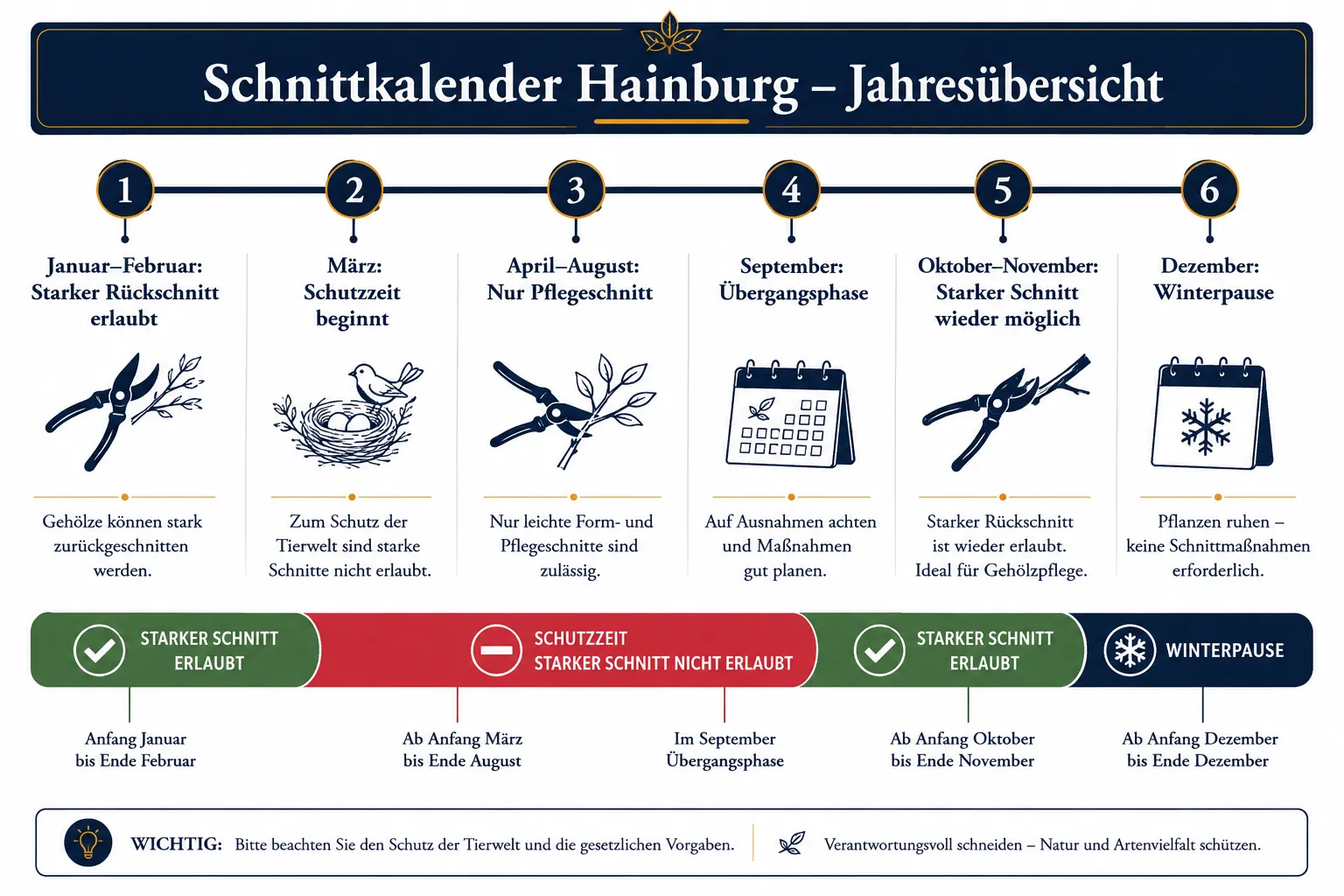 Jahresübersicht für Pflege- und Rückschnittzeiten von Hecken