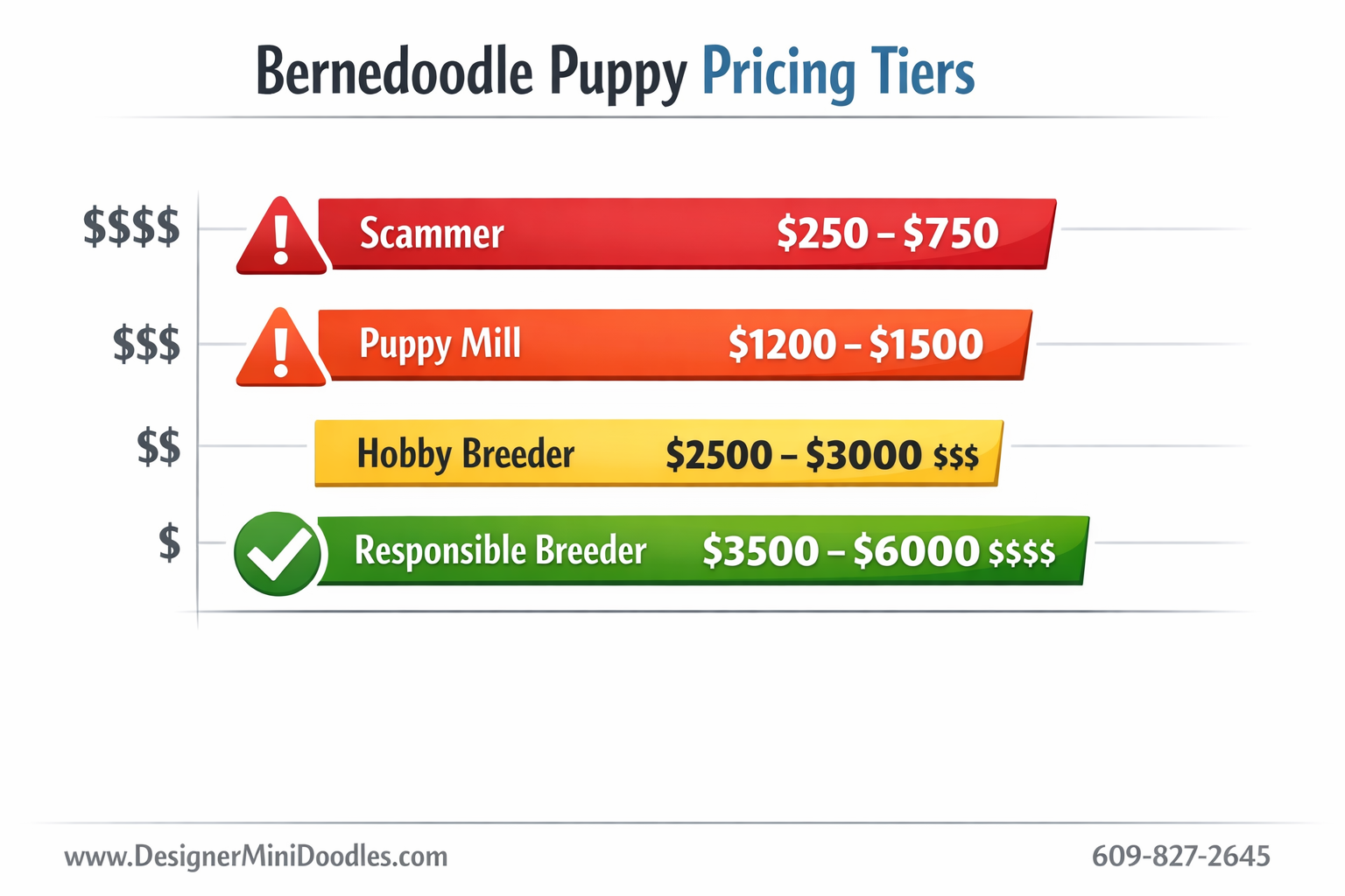 () price comparison bar graph infographic showing bernedoodle puppy pricing tiers: Scammer $250-750 in red, Puppy Mill