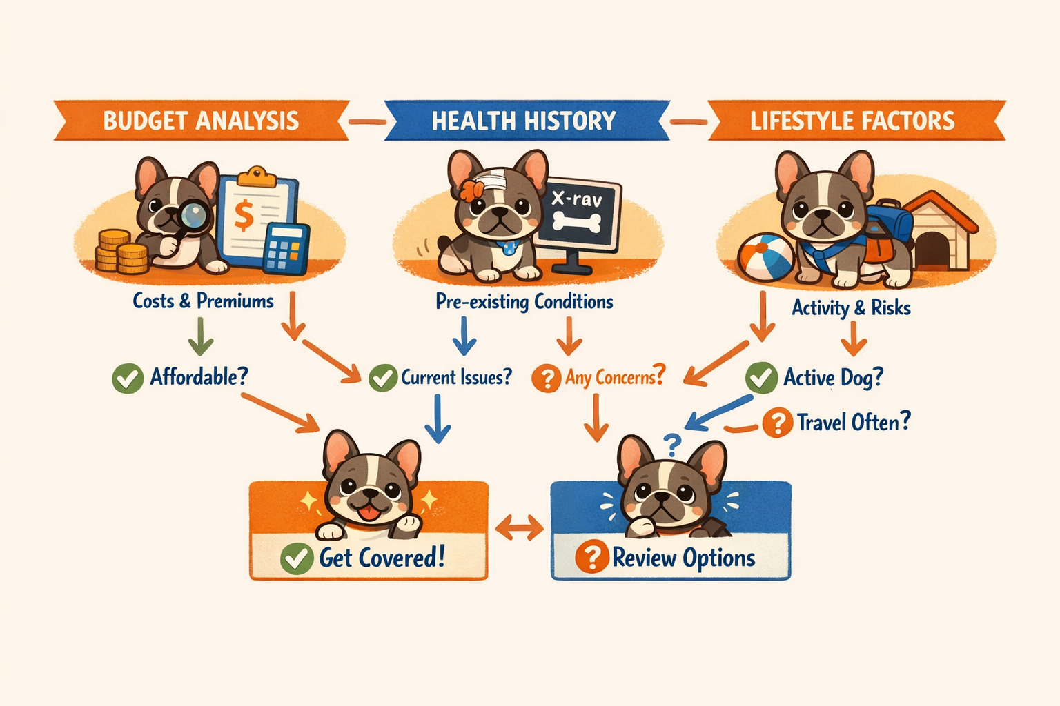 Landscape format (1536x1024) decision-making flowchart illustration showing factors to consider for French Bulldog insurance: budget analysi