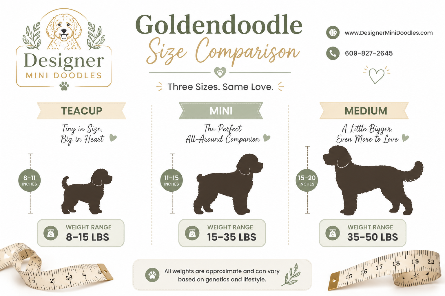 Where Can I Adopt a Teacup Goldendoodle in Central Florida?