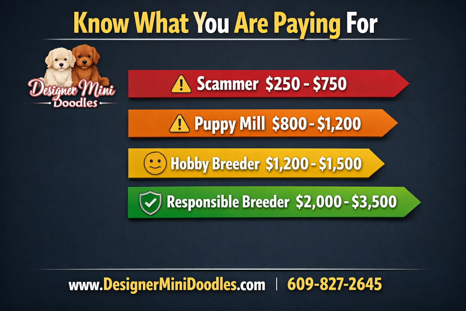 () infographic showing a horizontal price comparison bar chart for goldendoodle puppies. Four color-coded bars: Red bar