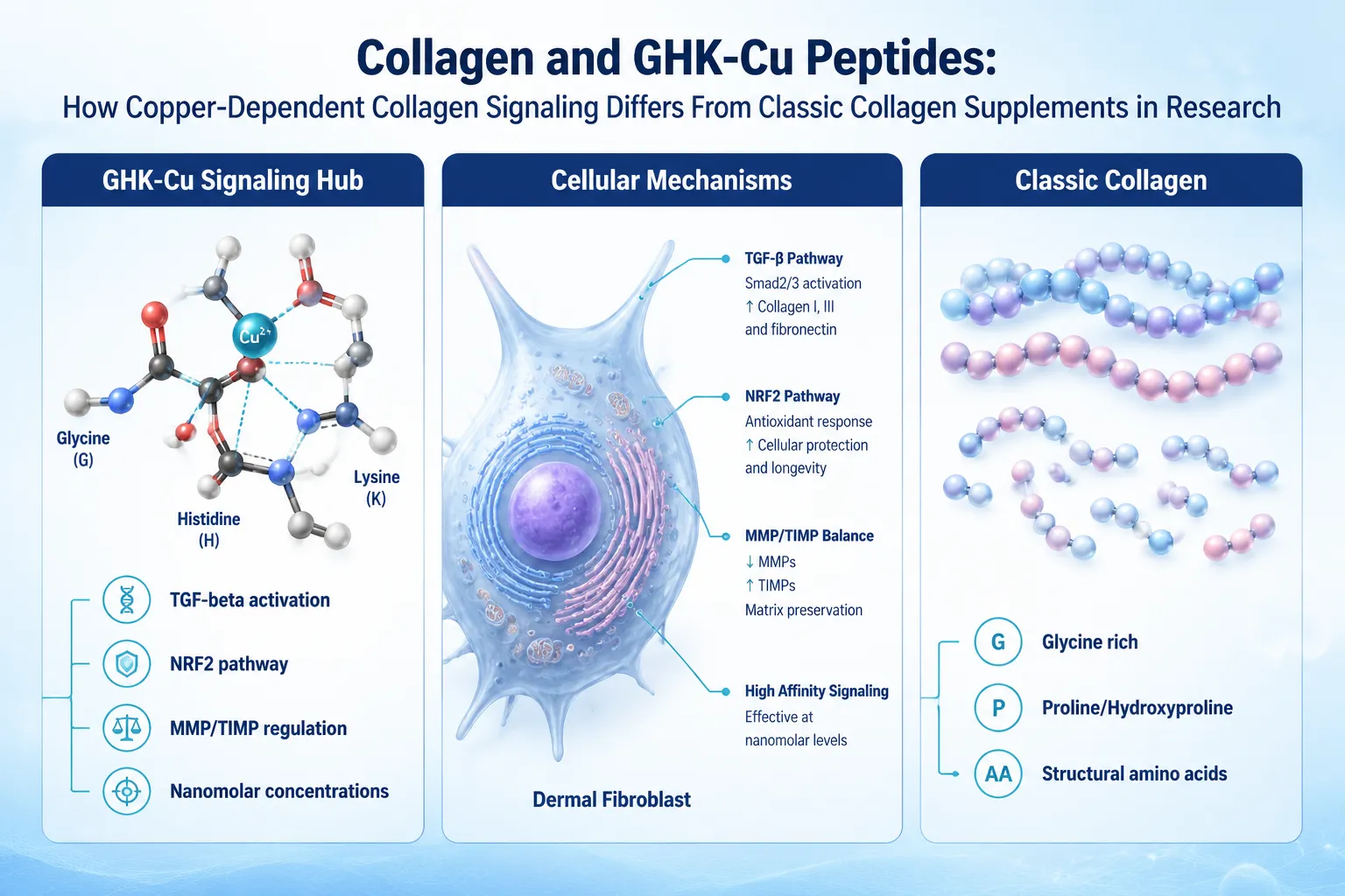 What Are Classic Collagen Supplements and What Does the Research Show?