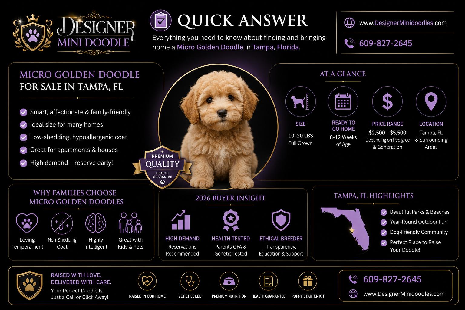 What Is a Micro Goldendoodle and How Big Do They Get?