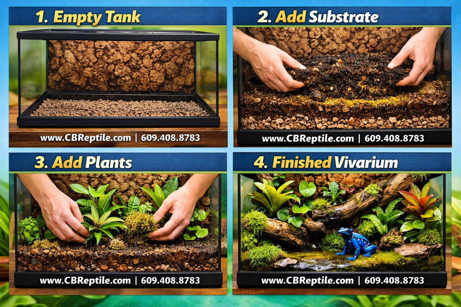 Step-by-step visual guide showing poison dart frog vivarium setup process: four sequential panels showing empty tank,