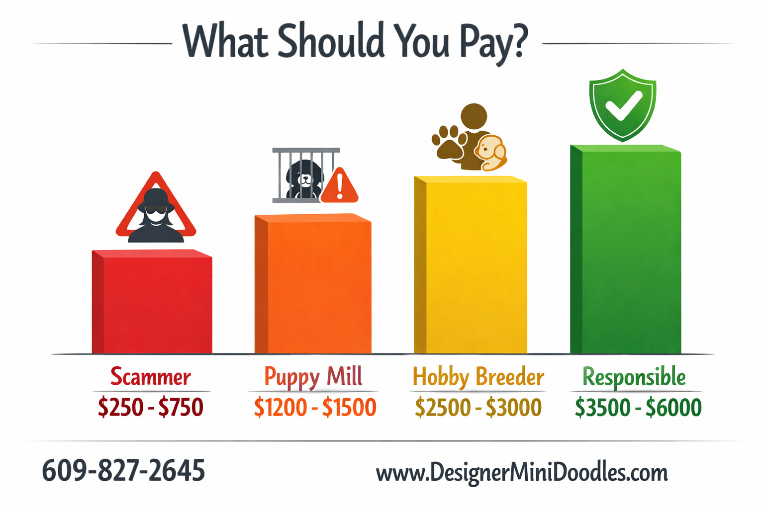 () creative price comparison bar graph infographic with four vertical bars showing puppy pricing tiers. Labels read 'Scammer