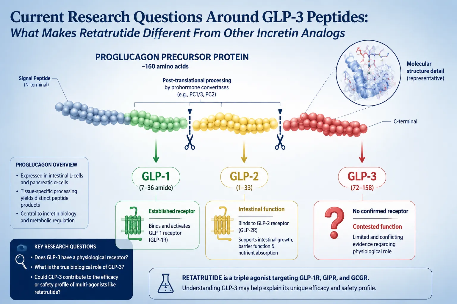 How the Triple-Agonist Mechanism Sets Retatrutide Apart