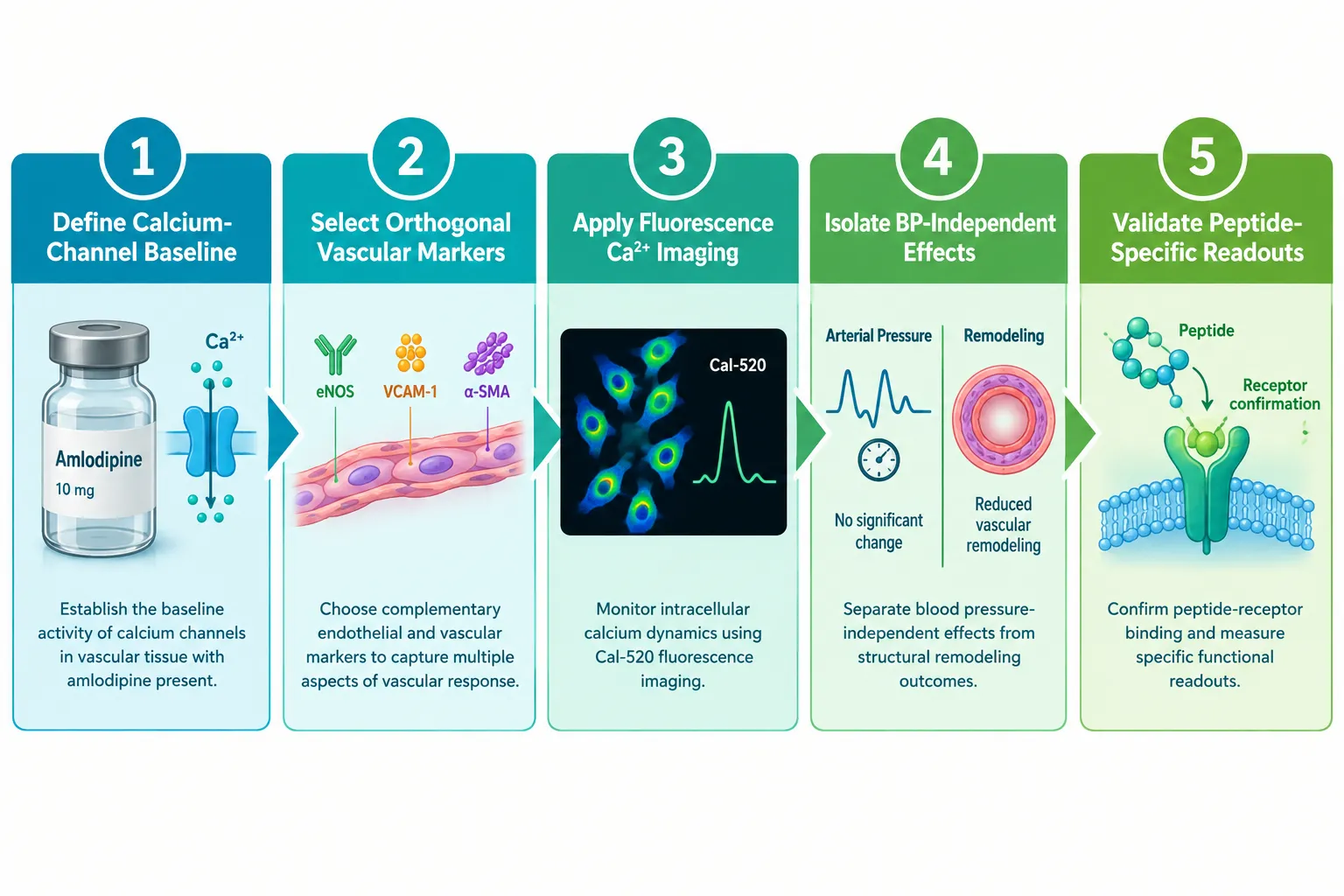 Designing the Experiment: Isolating Peptide-Specific Signals