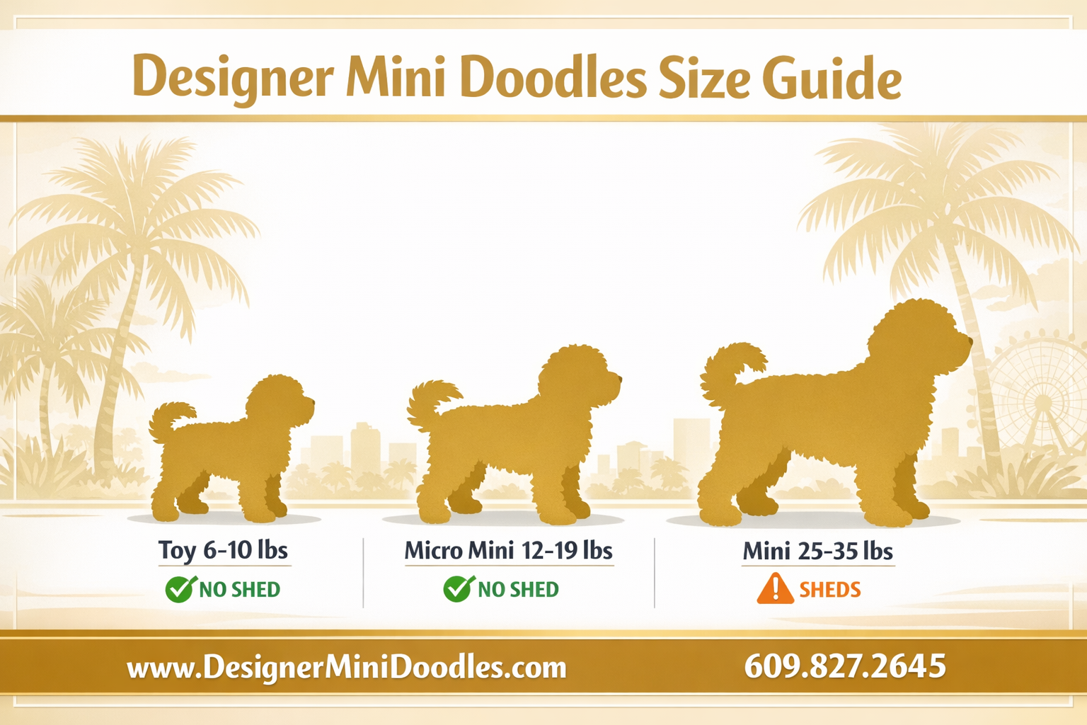 () infographic-style image showing three goldendoodle size comparison silhouettes side by side labeled Toy 6-10 lbs, Micro