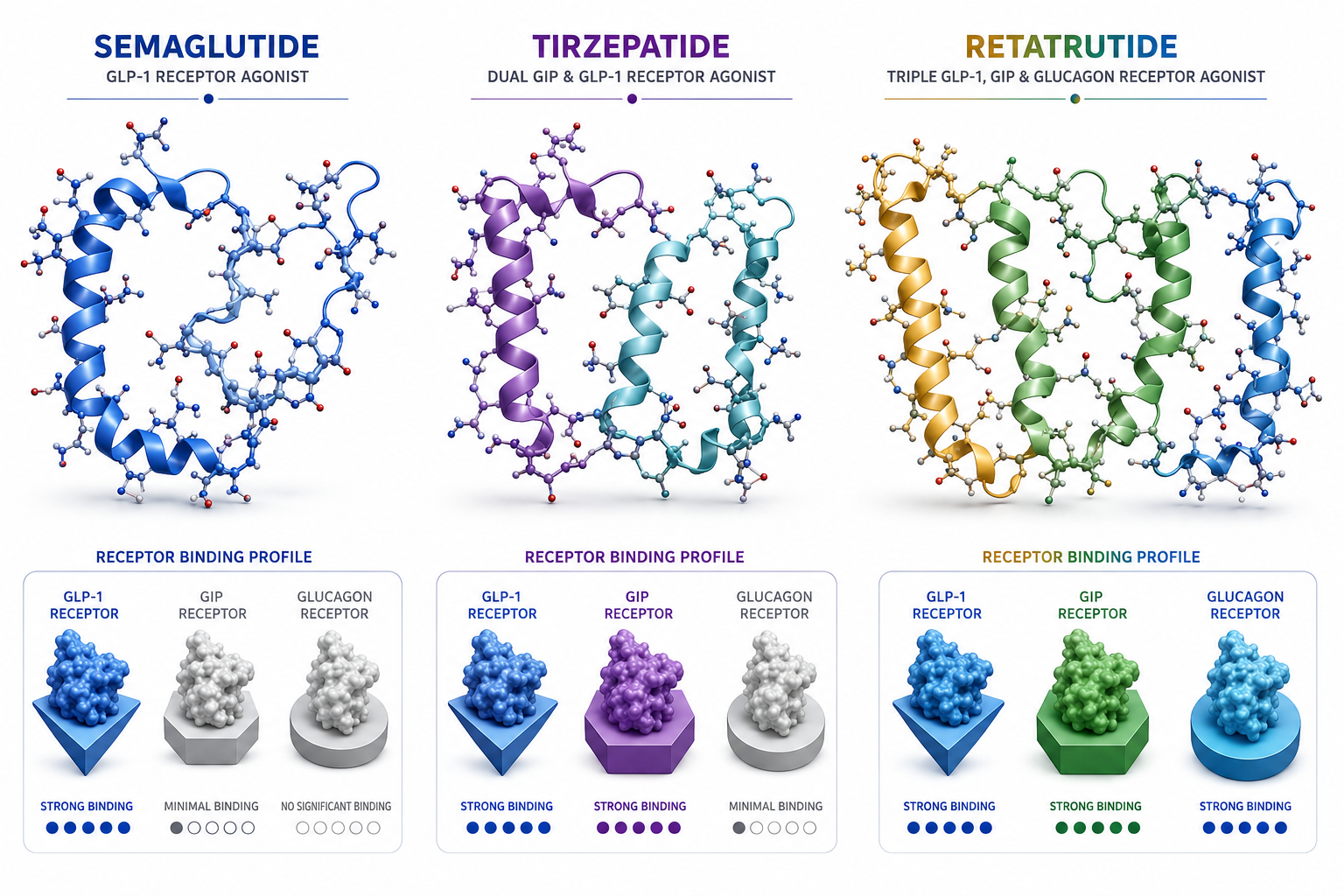 How Long Does It Take for Semaglutide to Work in Research Protocols