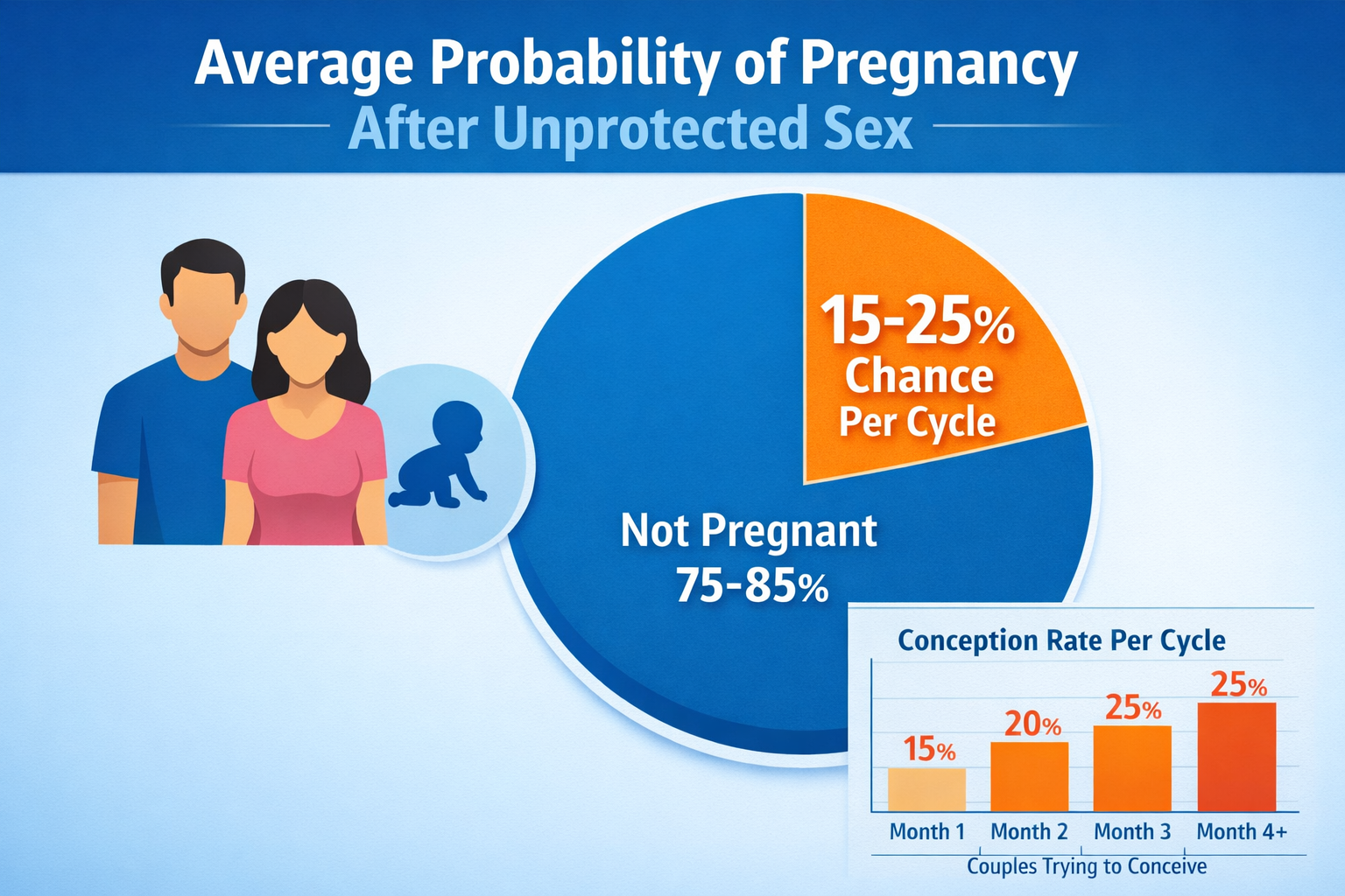 Detailed landscape format (1536x1024) image presenting a statistical infographic on the average probability of pregnancy after unprotected s
