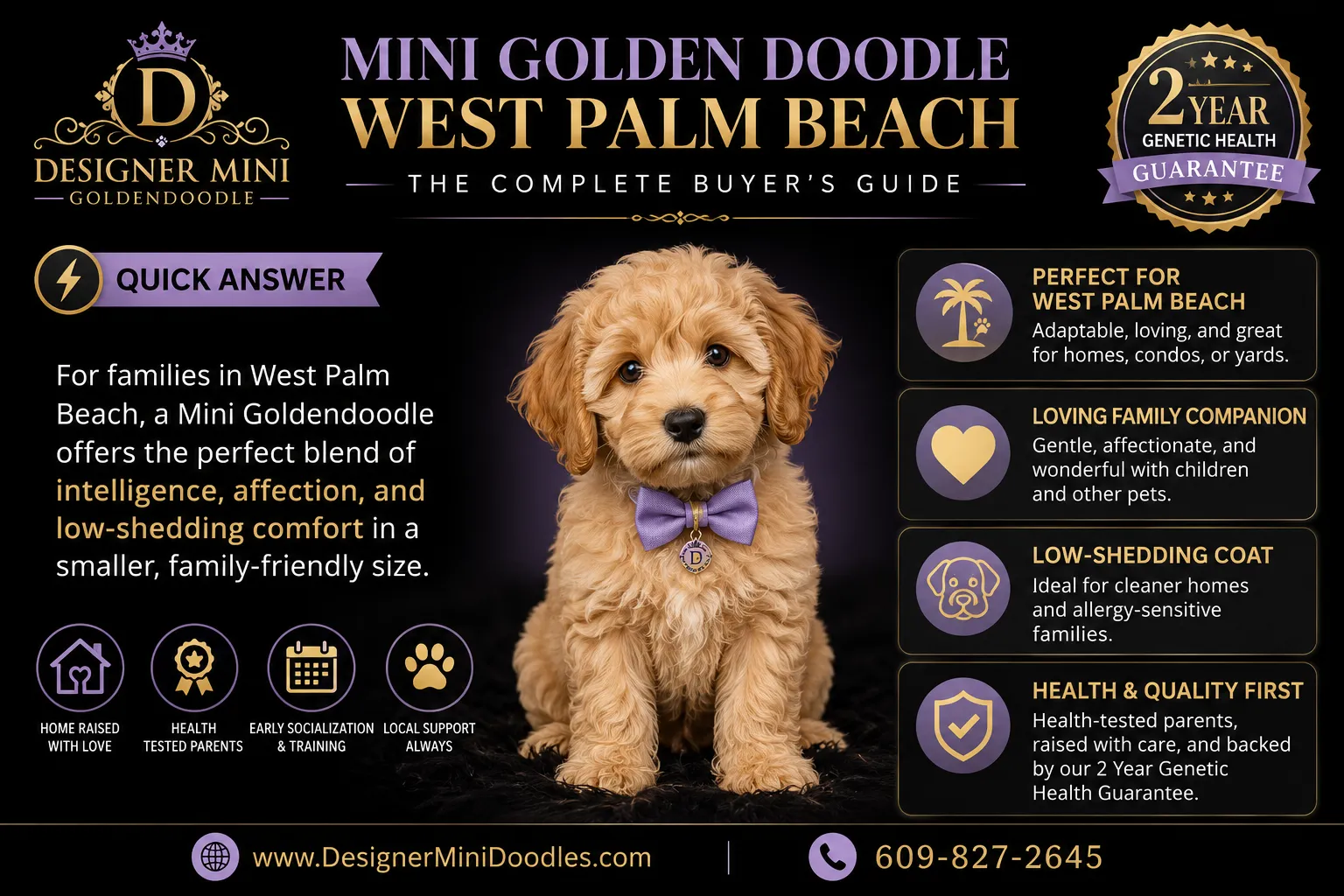 mini golden doodle West Palm Beach
