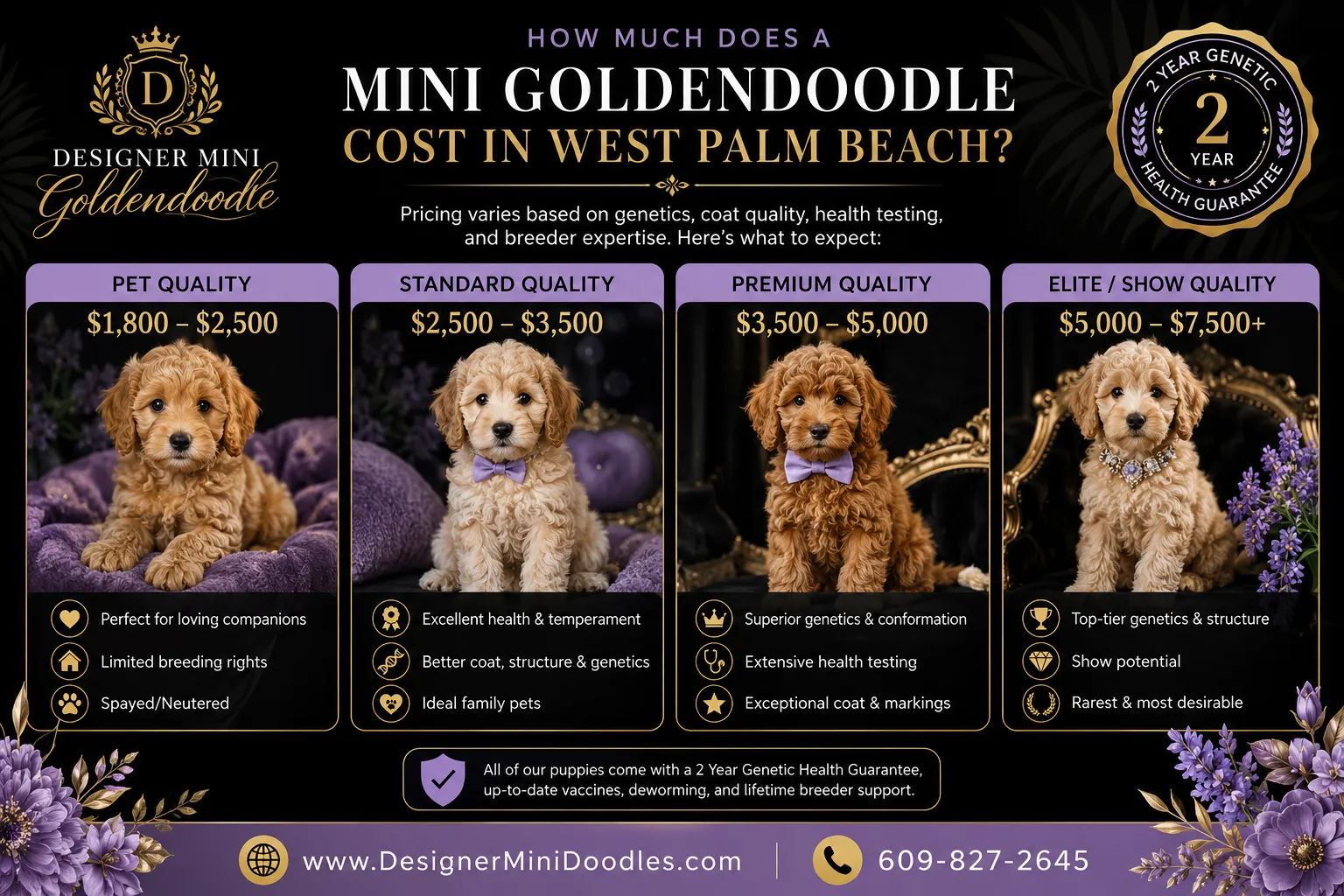 Are Mini Goldendoodle Puppies for Sale Near Me the Right Fit?