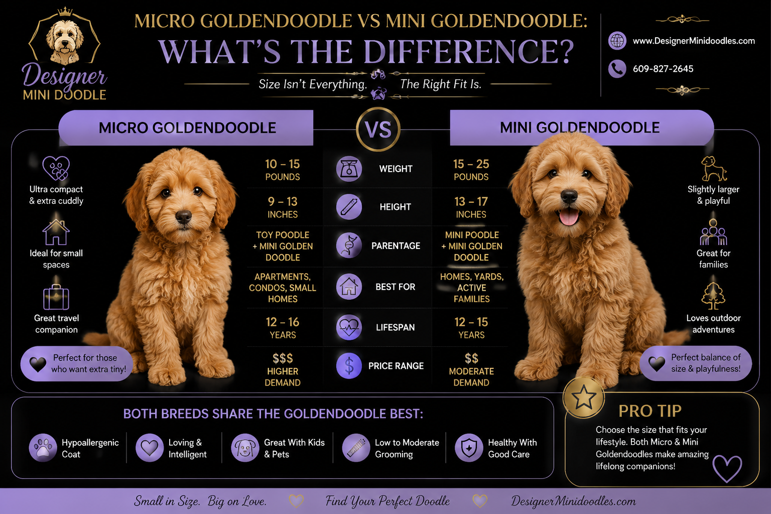 micro golden doodle puppies for sale Alabama