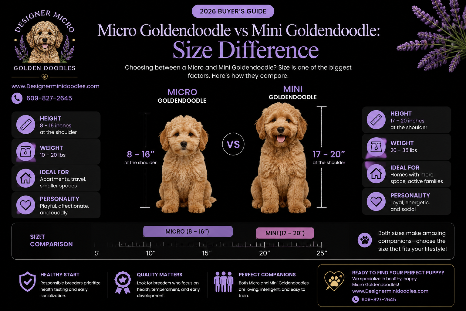 How Much Does a Micro Goldendoodle Cost in Houston?