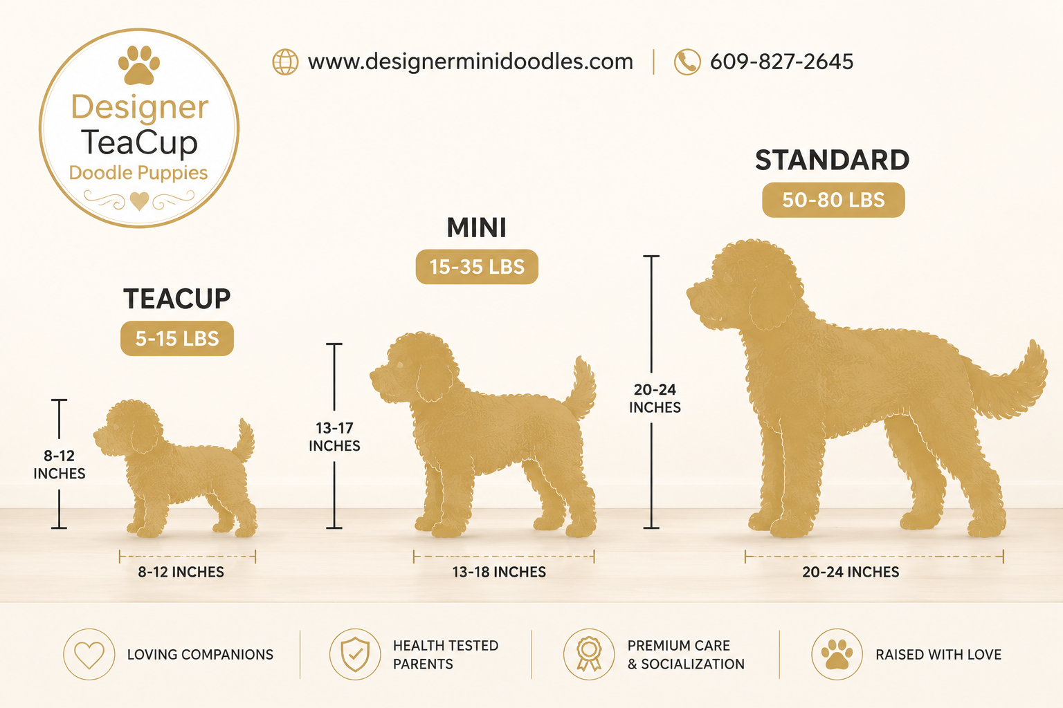 How Much Do Teacup Goldendoodle Puppies Cost in Orlando?