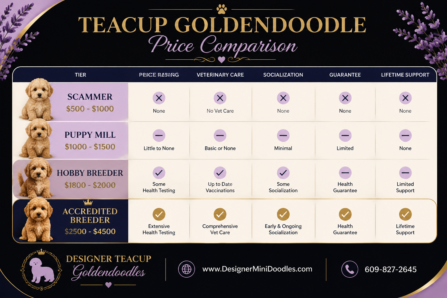 teacup goldendoodle puppies Dallas