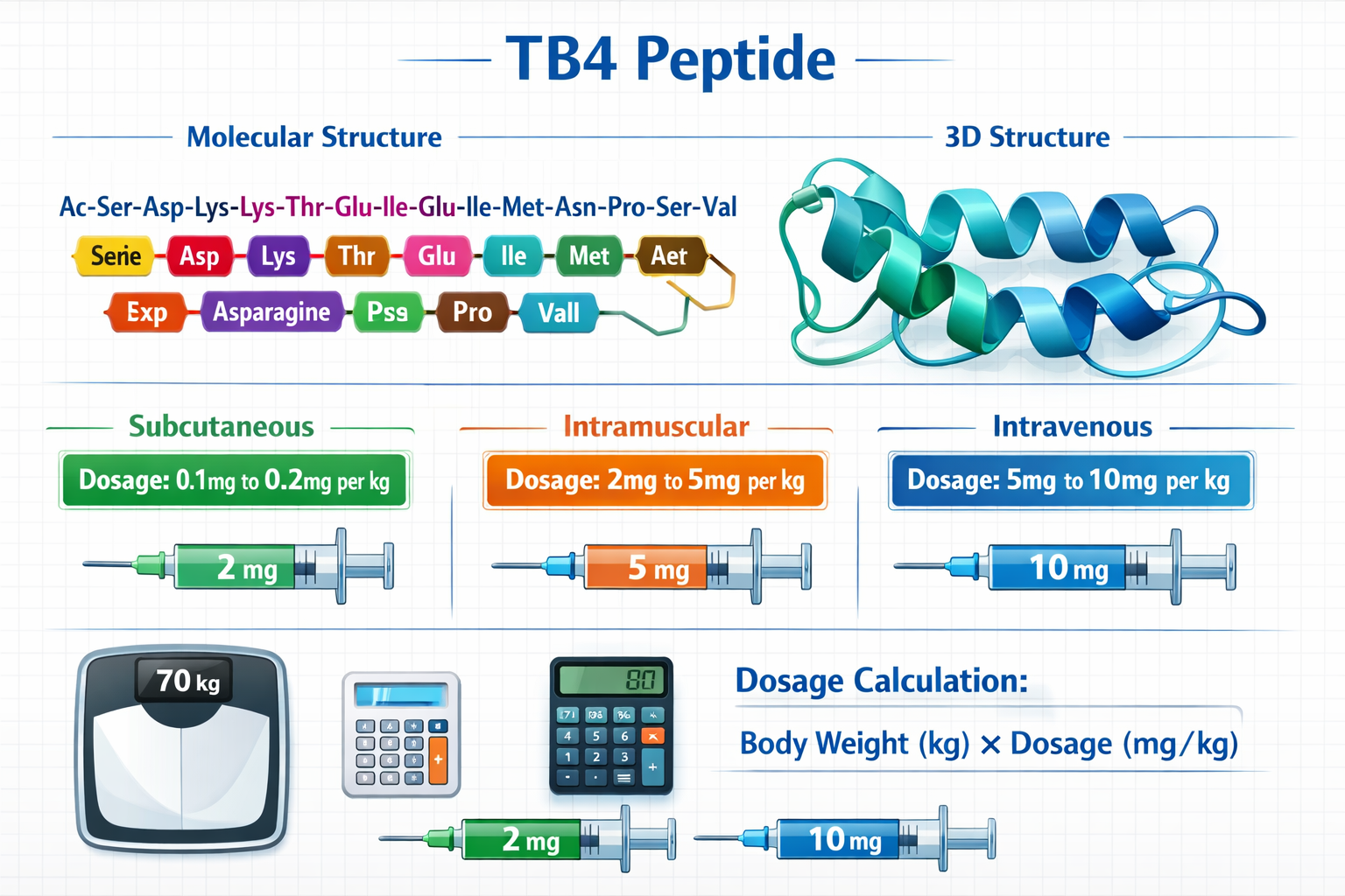 Detailed infographic showing TB4 peptide molecular structure with labeled amino acid chains, three-dimensional ribbon diagram in teal and bl