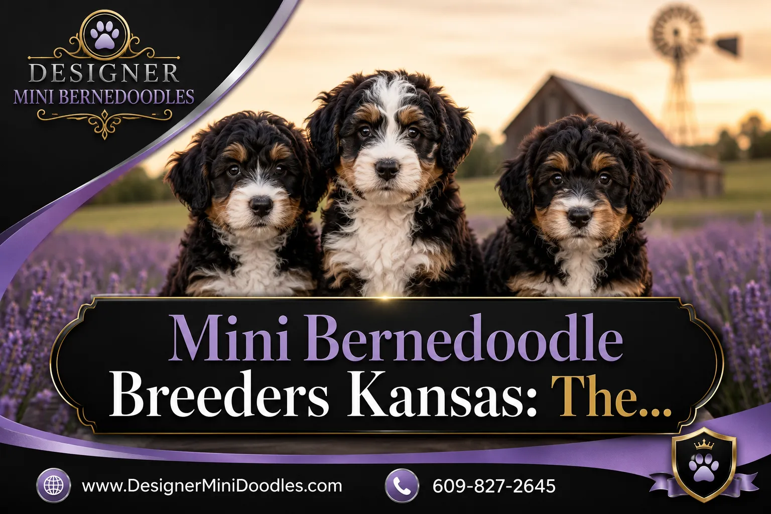 mini bernedoodle breeders Kansas