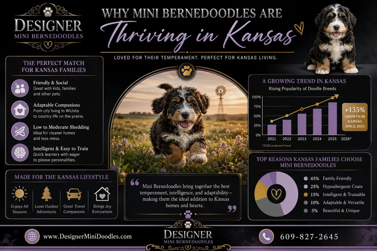 mini bernedoodle breeders Kansas