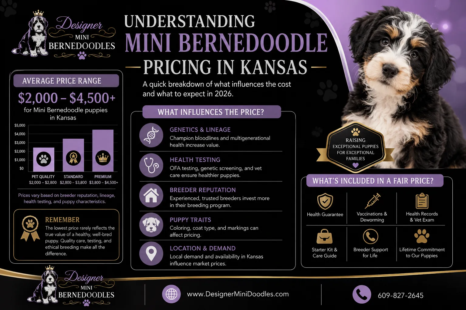 mini bernedoodle price Kansas