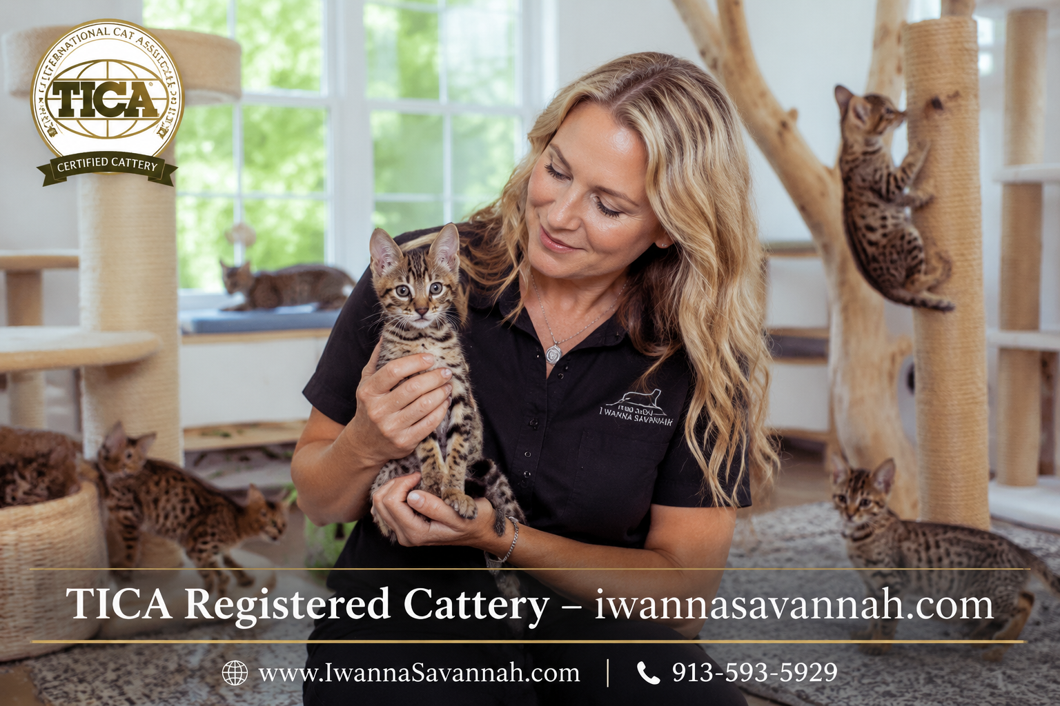 Savannah Cattery