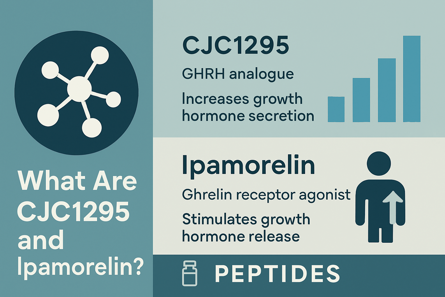 Professional landscape infographic (1536x1024) for article "Understanding CJC1295/Ipamorelin Side Effects: A Comprehensive Research Guide fo