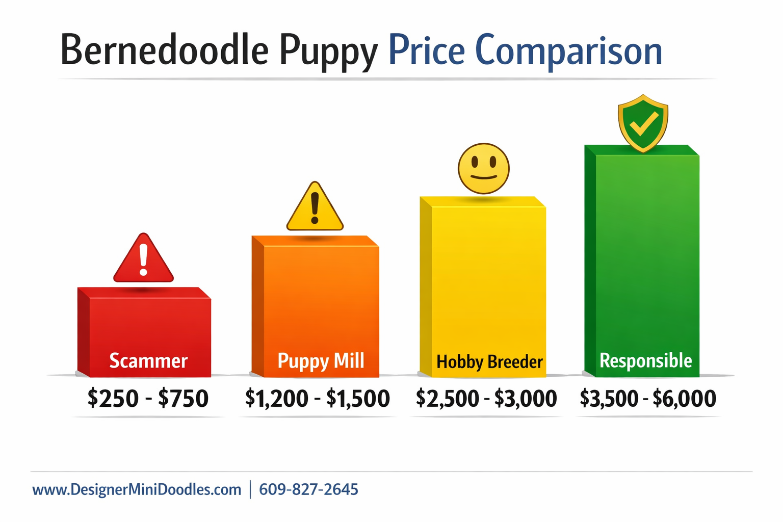 () infographic-style price comparison chart for bernedoodle puppies showing four tiers as ascending bar graph: Red bar