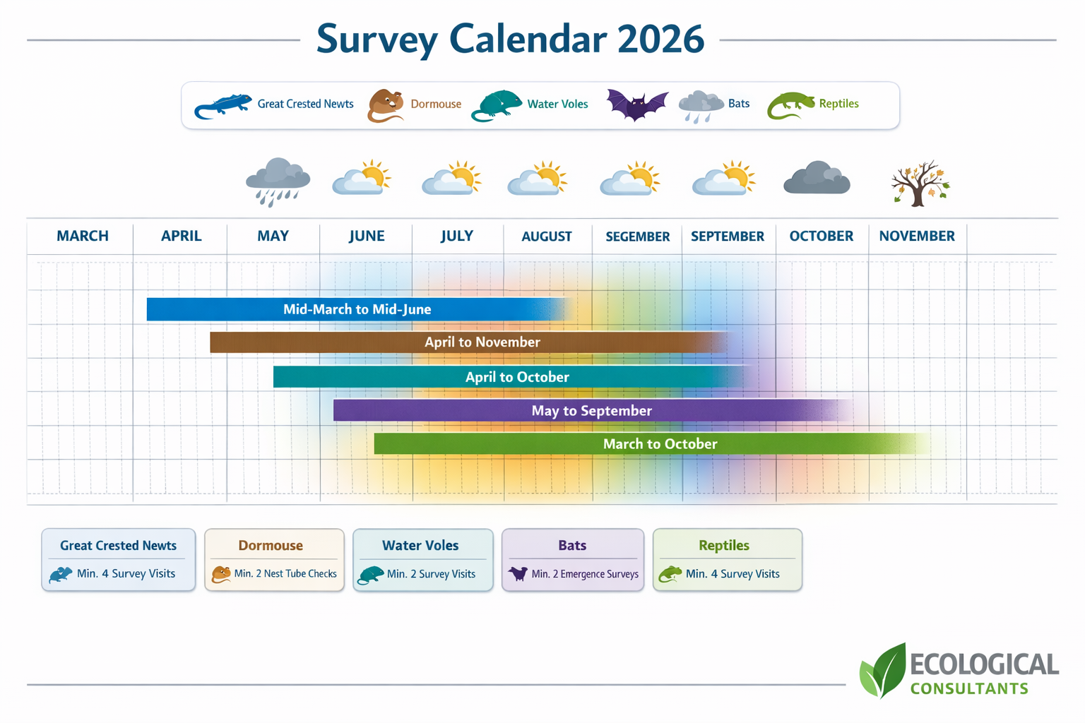 () detailed illustration showing seasonal survey calendar timeline from March through November 2026, with color-coded bars