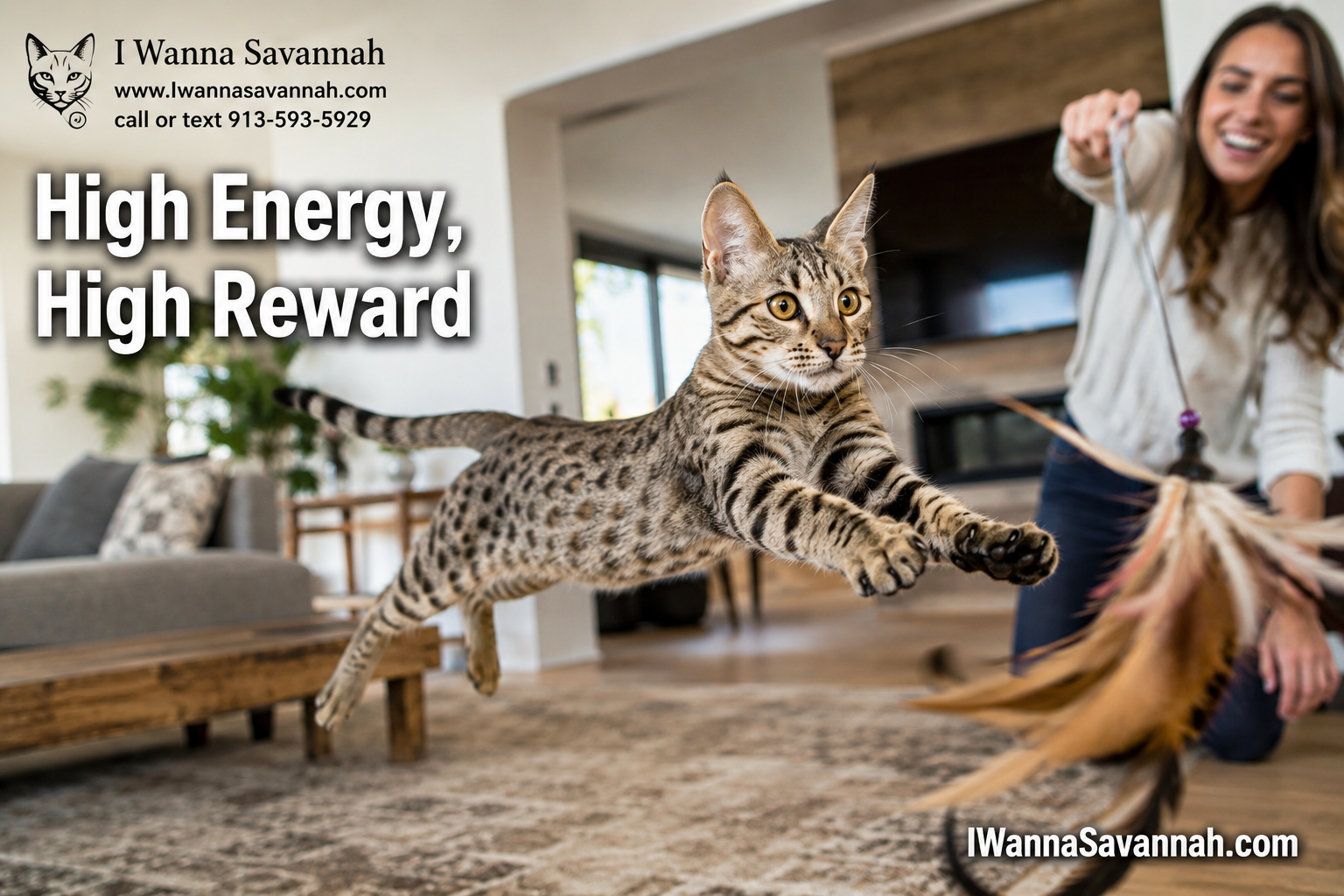 What Are the Behavioral Challenges of Savannah Cat Temperament?