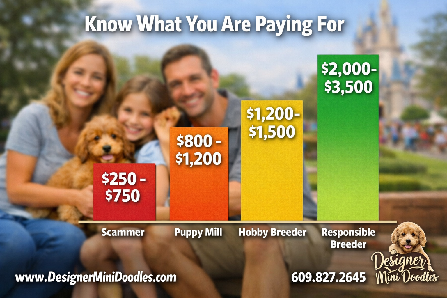 Mini golden doodle puppies for sale Orlando