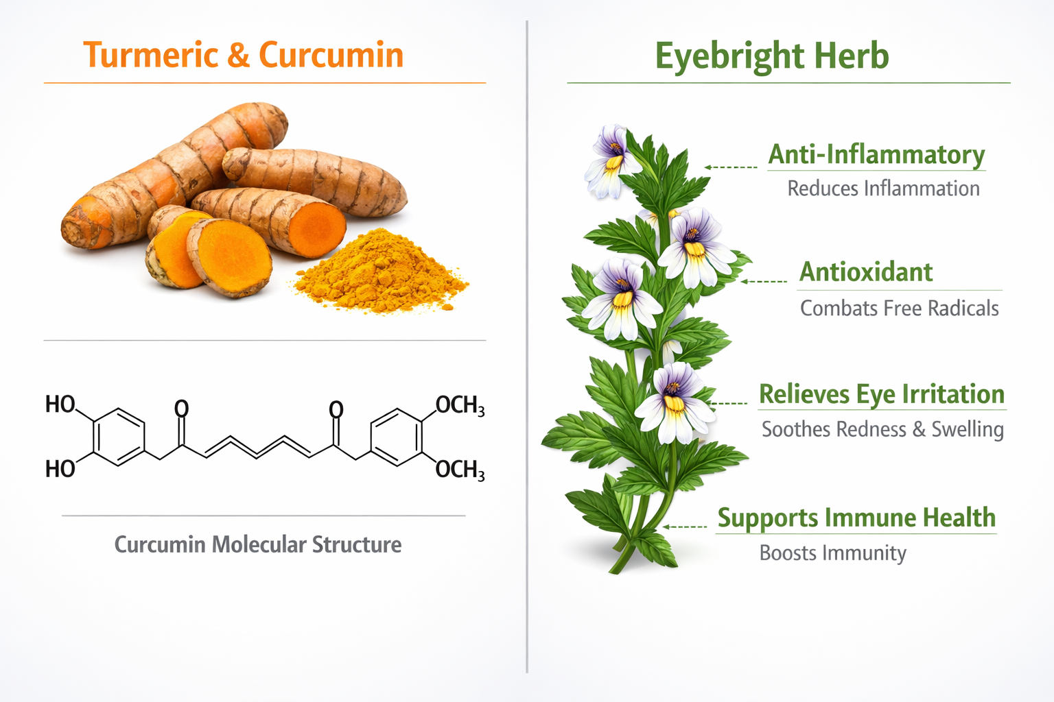 Split-panel visual guide showing turmeric root with curcumin molecular structure on left, and eyebright herb with labeled