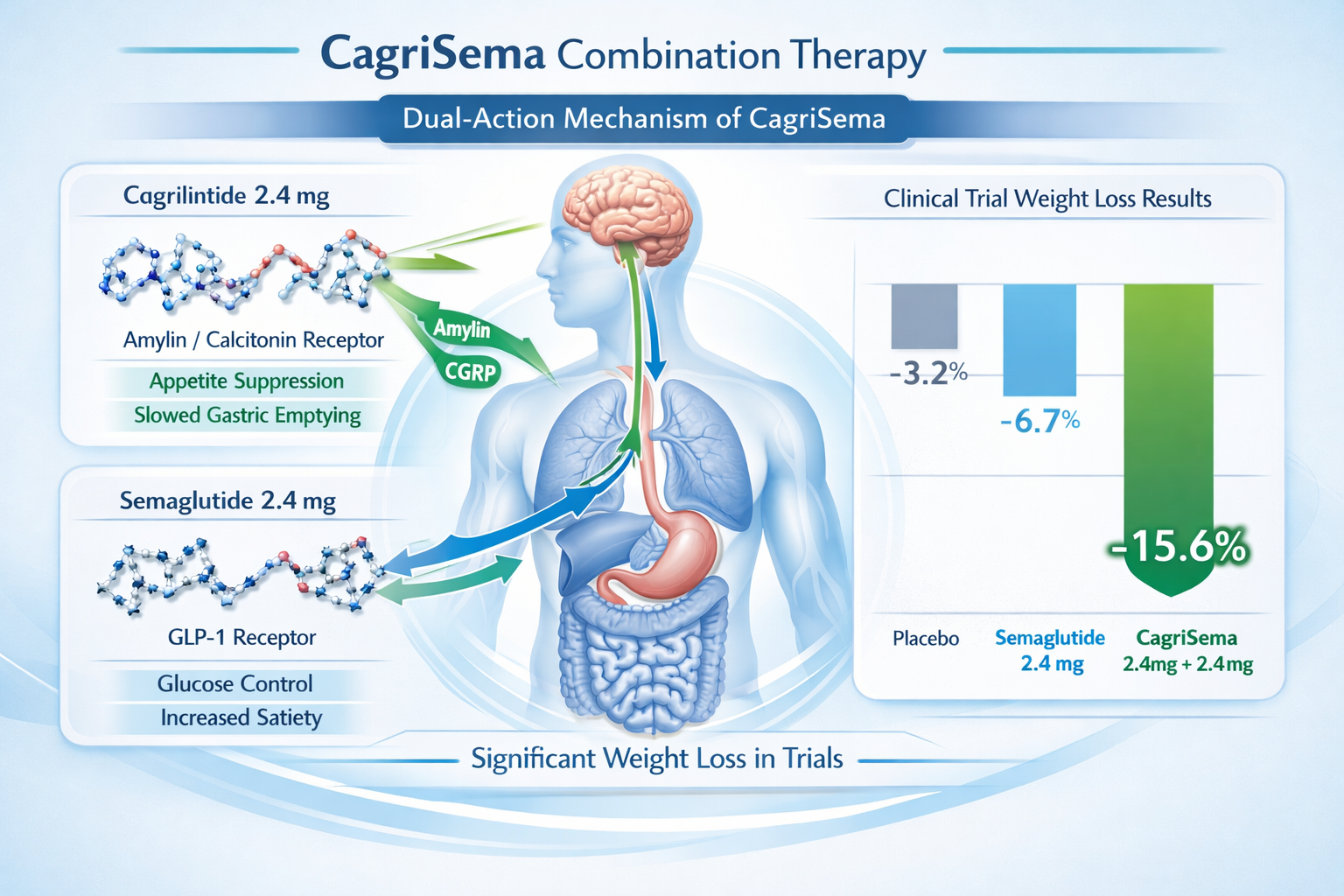 Professional landscape composition (1536x1024) depicting CagriSema combination therapy visualization with dual-action mechanism diagram. Sho