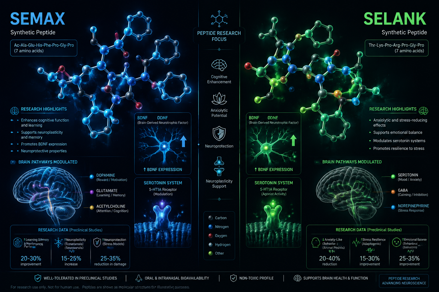 Detailed () scientific illustration showing two distinct peptide molecular structures labeled 'Semax' and 'Selank' side by