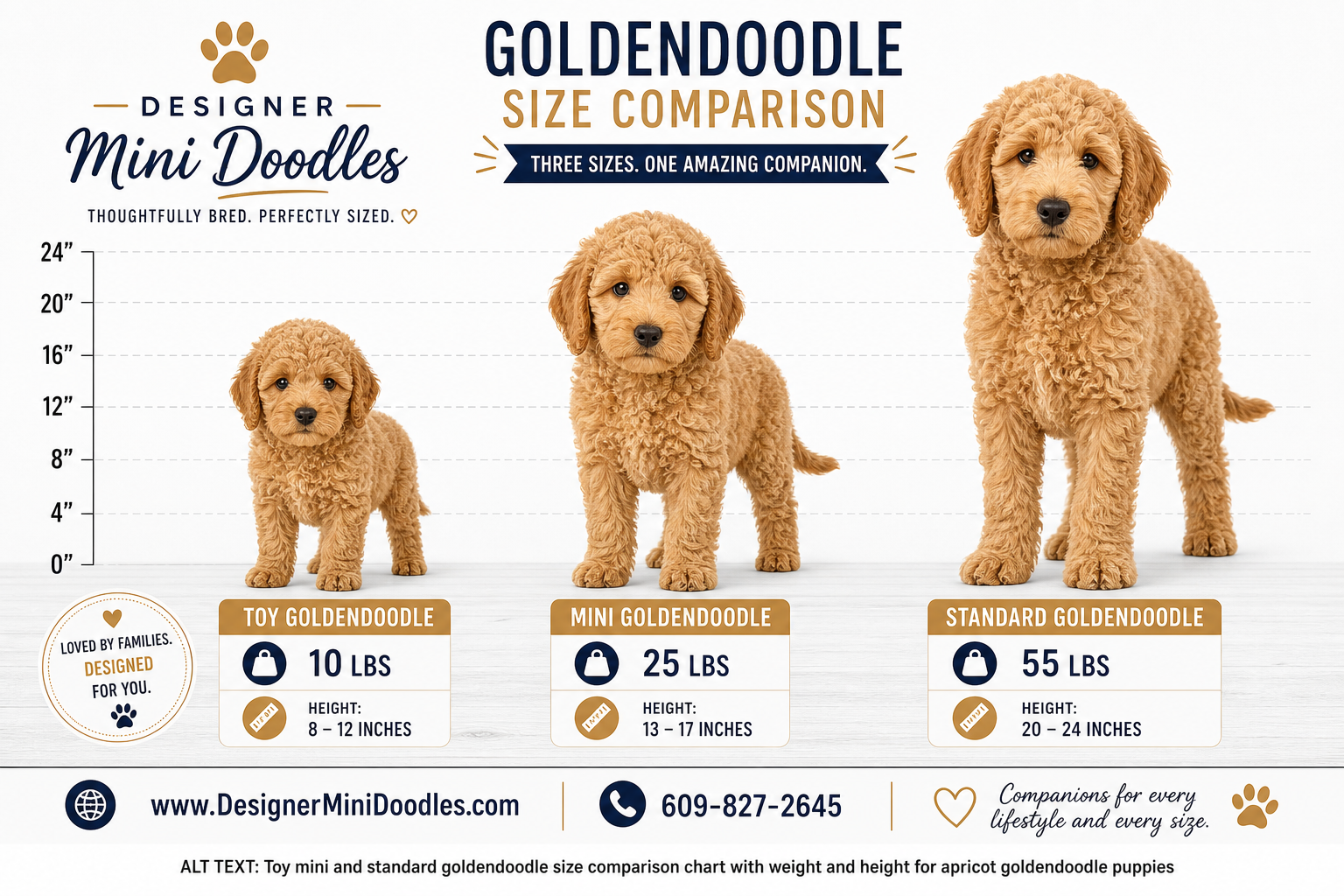 Are toy goldendoodles hypoallergenic?