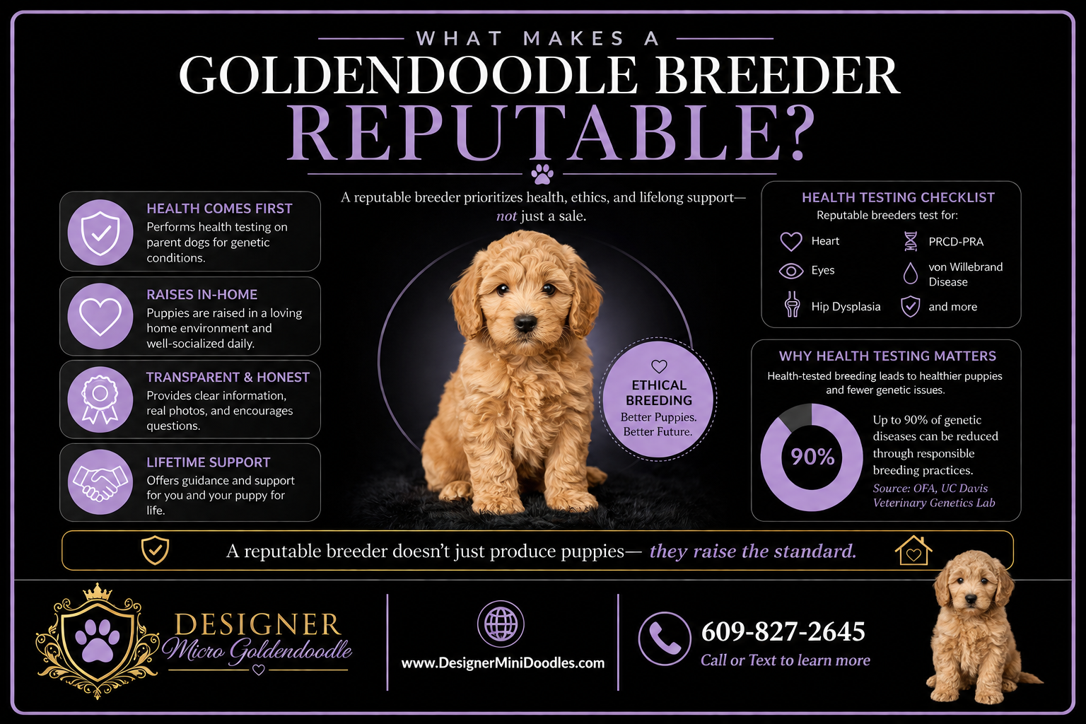 Best Goldendoodle Breeders by State