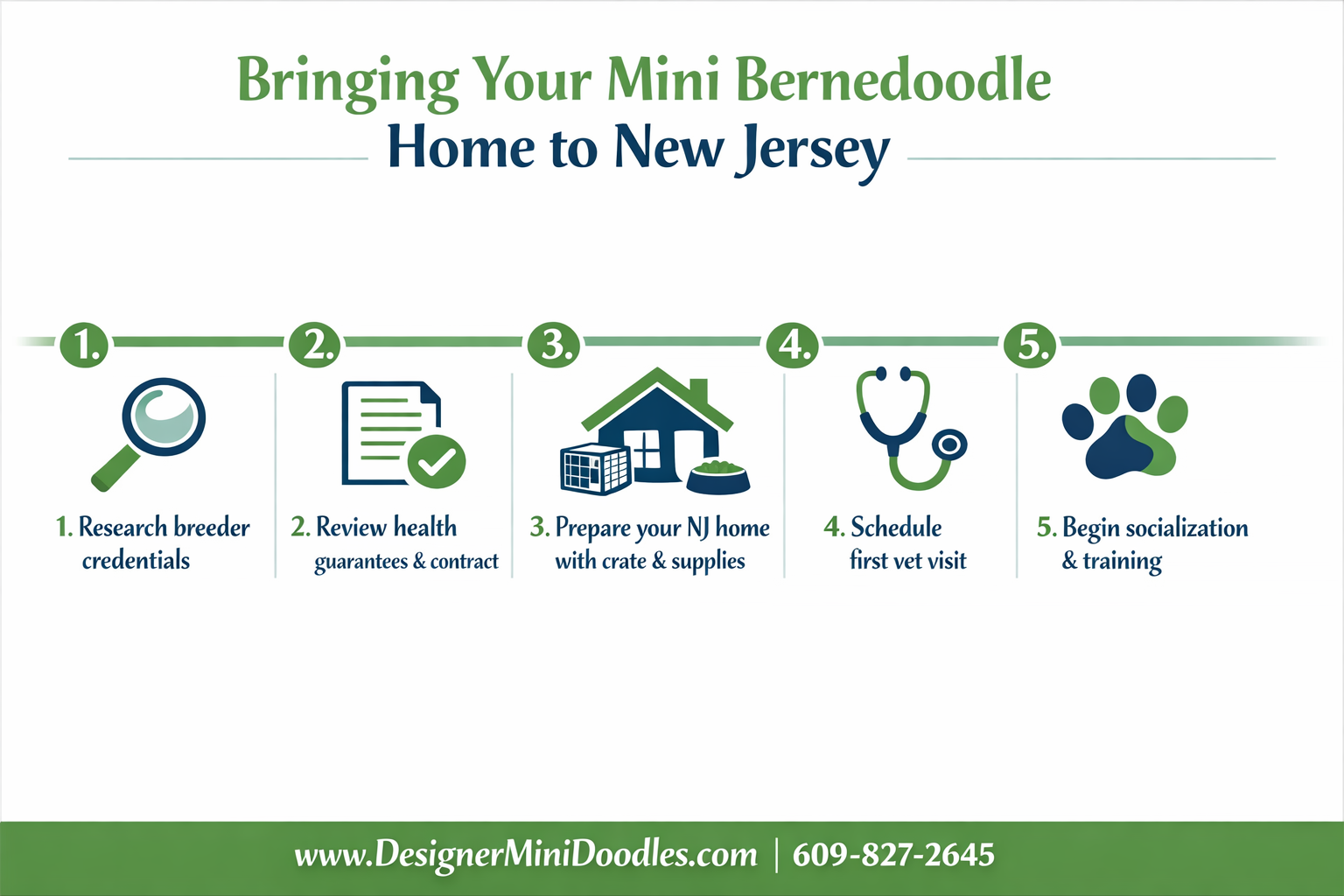 () professional step-by-step visual checklist infographic titled 'Bringing Your Mini Bernedoodle Home to New Jersey'. Five