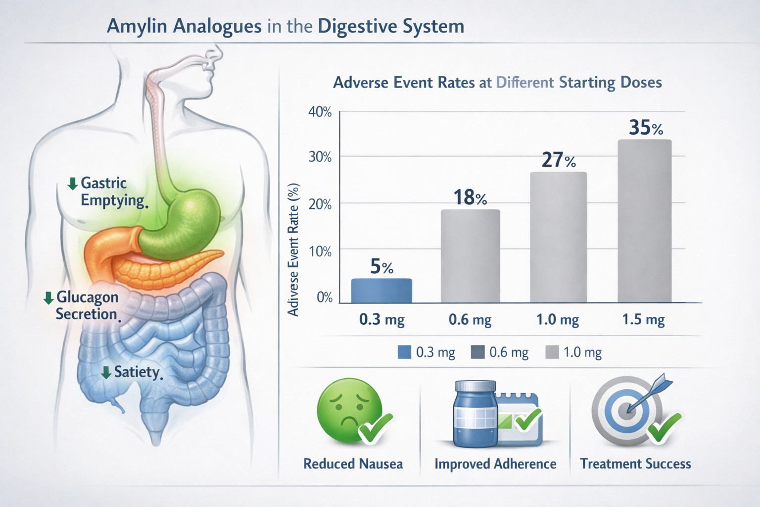 Professional landscape illustration (1536x1024) depicting gastrointestinal tolerance optimization concept with split-screen composition. Lef
