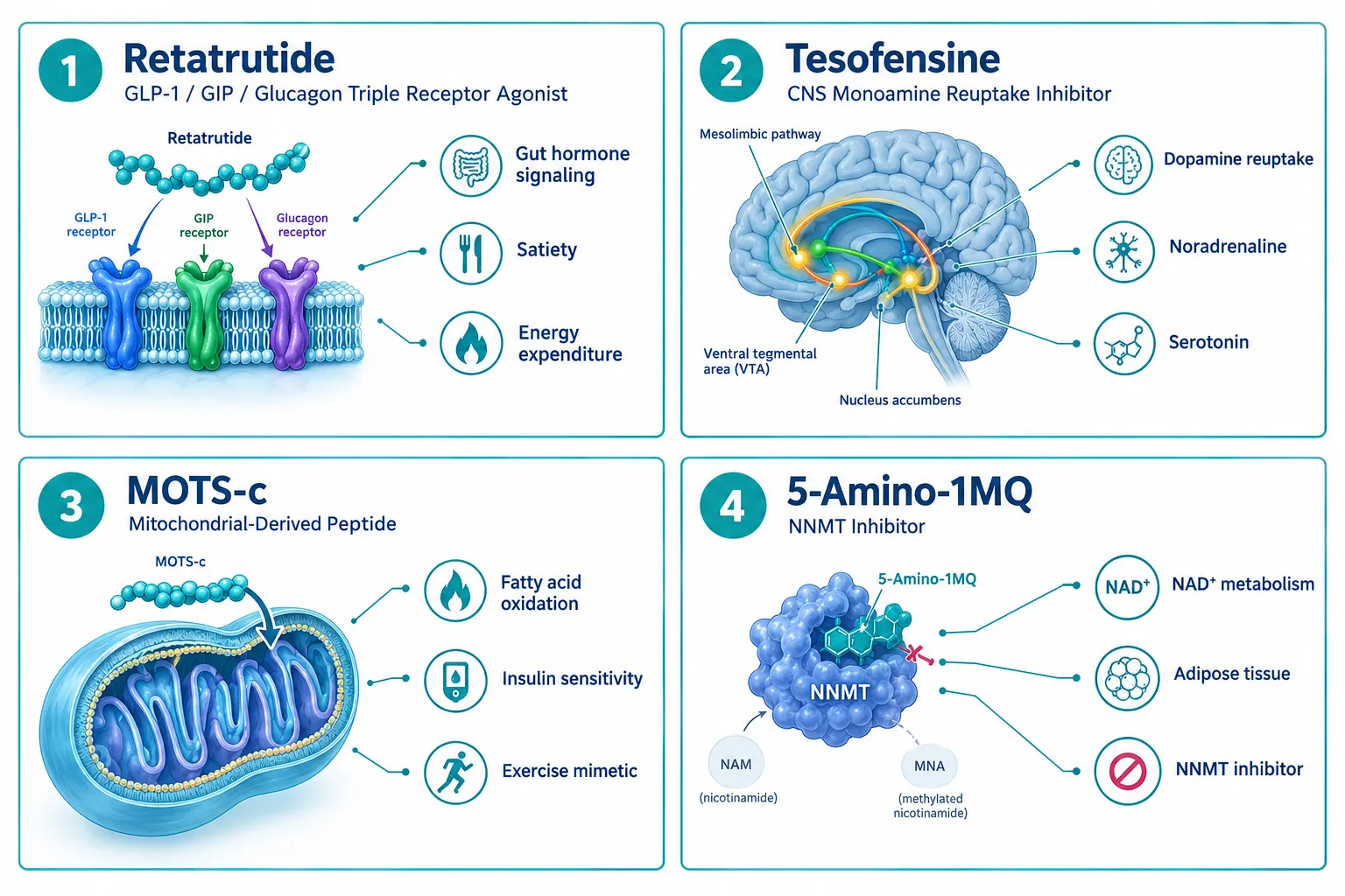 Understanding Retatrutide as the Research Benchmark