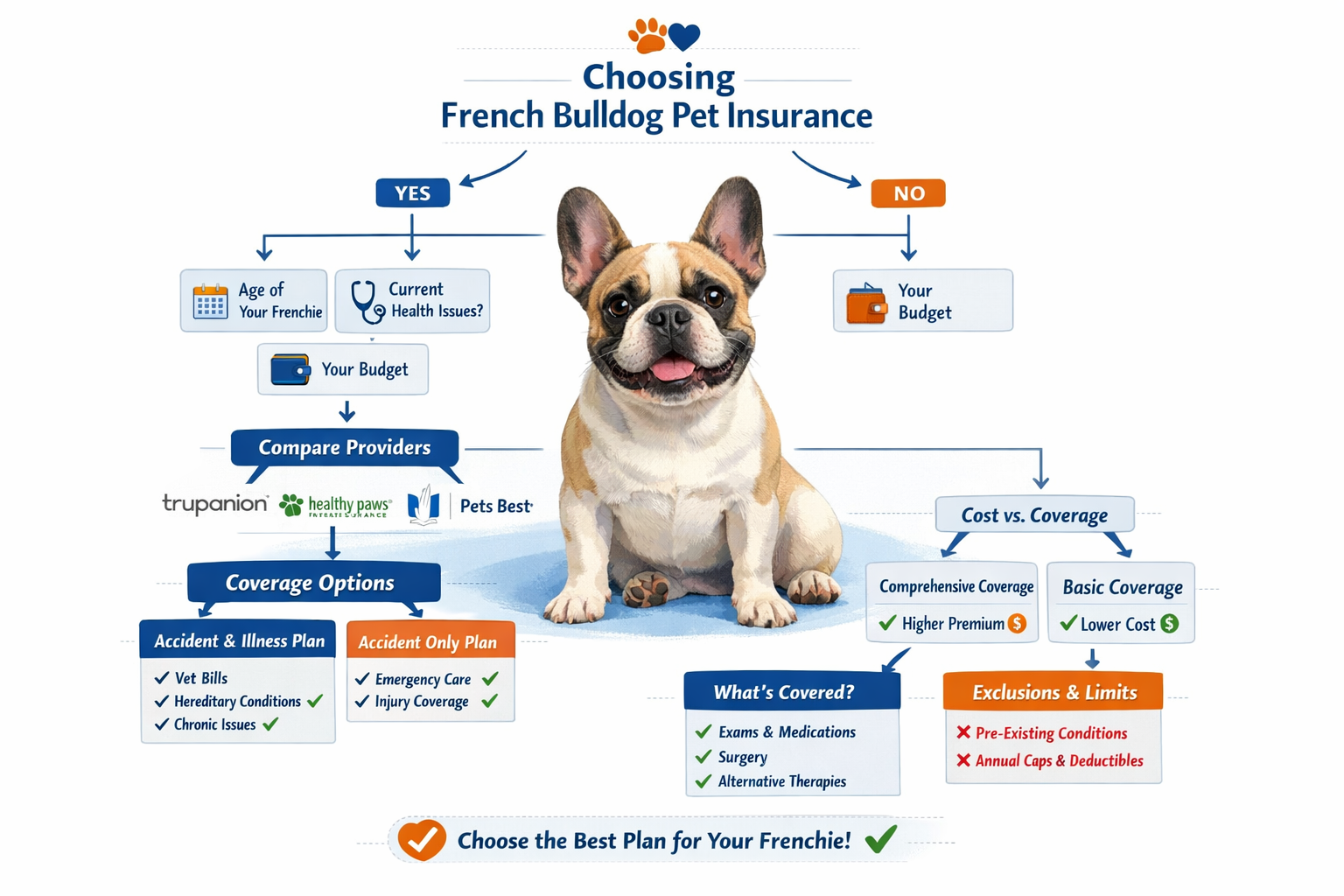 Portrait format (1024x1536) decision-making flowchart for choosing French Bulldog pet insurance. Shows cute Frenchie at center with branchin