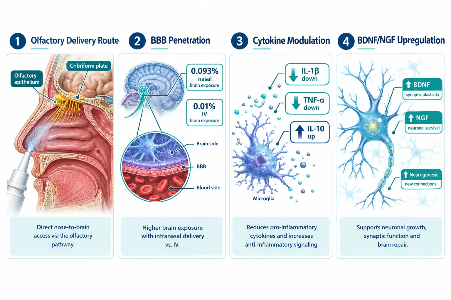 Why Intranasal Delivery Shapes the Entire Endpoint Strategy