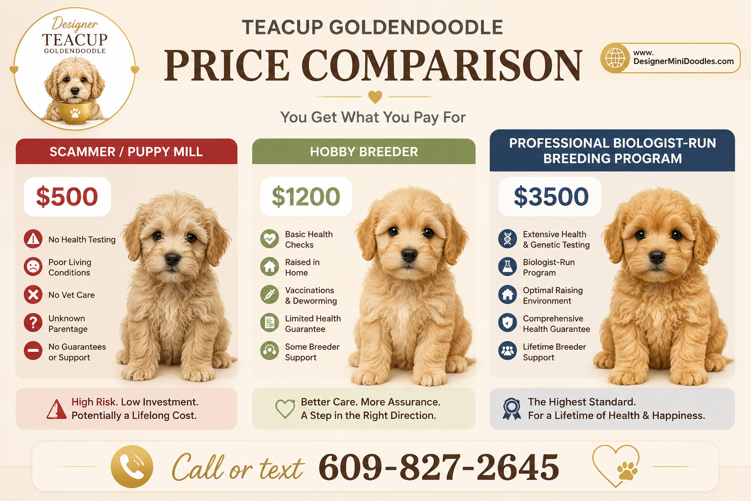 Where can I find reputable teacup goldendoodle breeders near Houston?