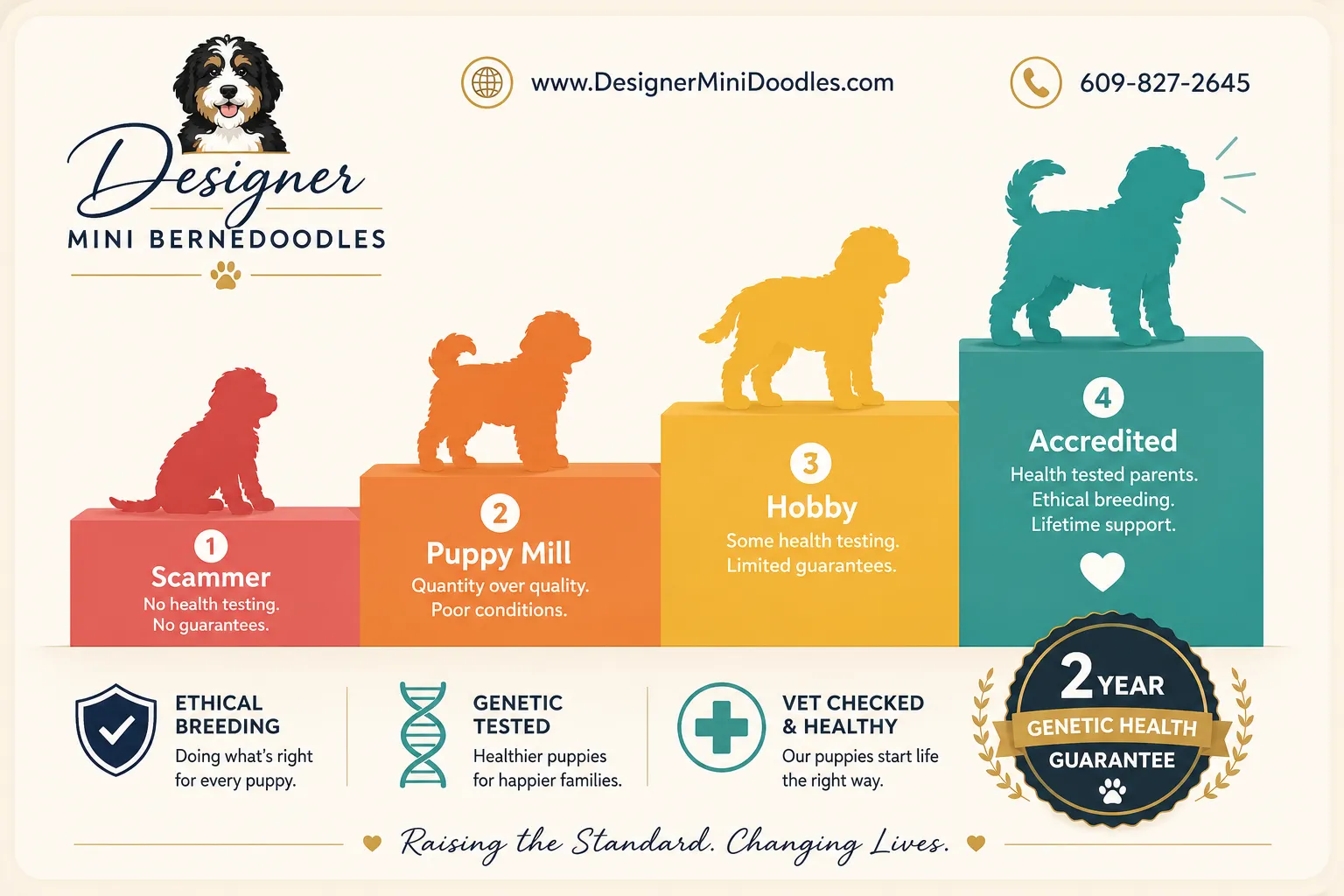 The Designer Doodles Method (Starting at 6 Weeks)