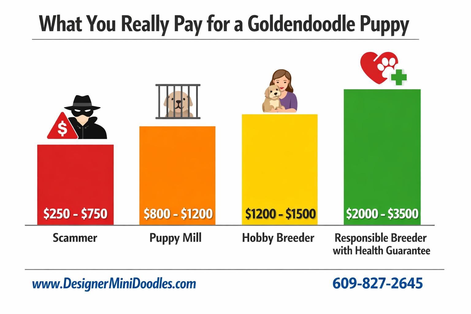 Mini goldendoodle puppies Orlando