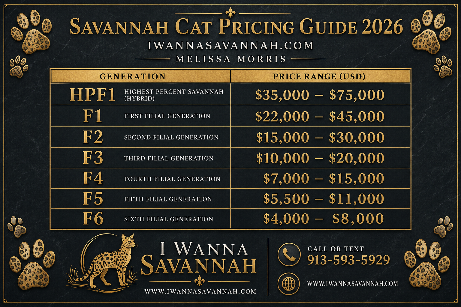 Legal Considerations Before Buying an F1 Savannah Cat
