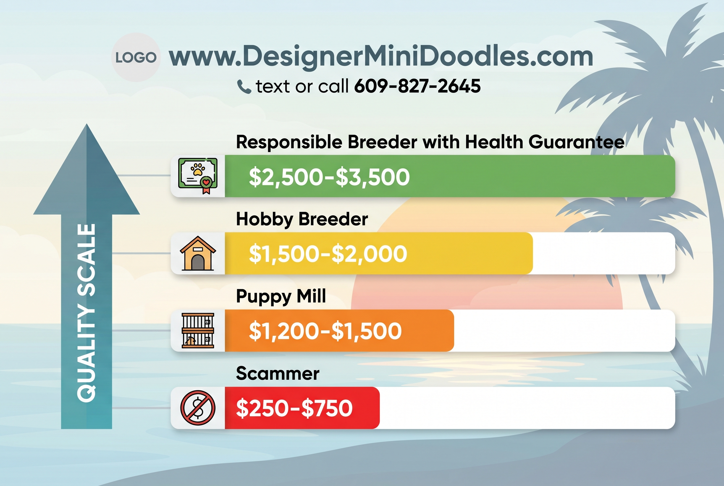 Mini goldendoodle breeders Clearwater