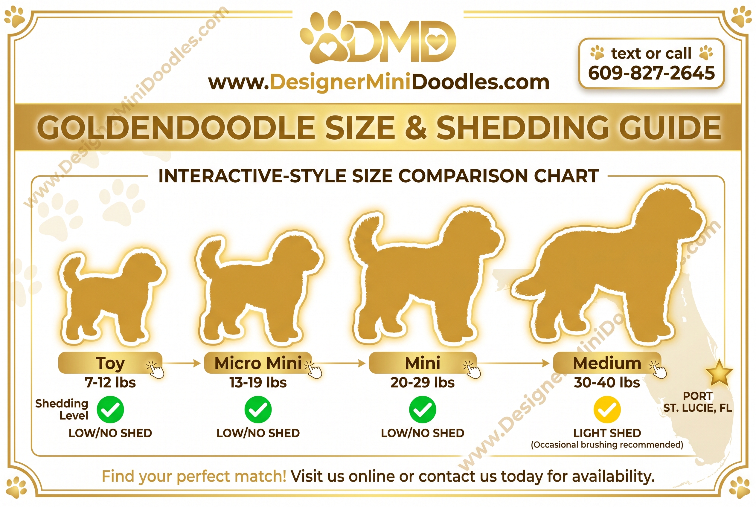 Mini goldendoodle puppies Port St. Lucie