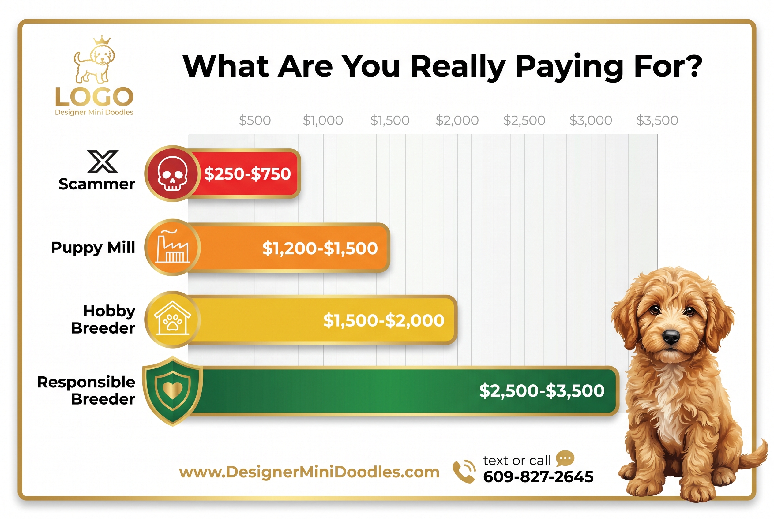 () price comparison bar chart graphic titled 'What Are You Really Paying For?' showing four price tiers: Scammer $250-$750