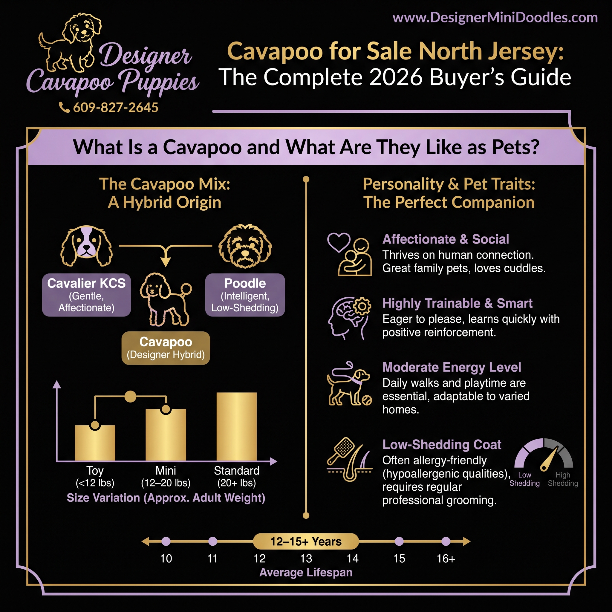 Cavapoo Breeders to Avoid: Red Flags and Scams
